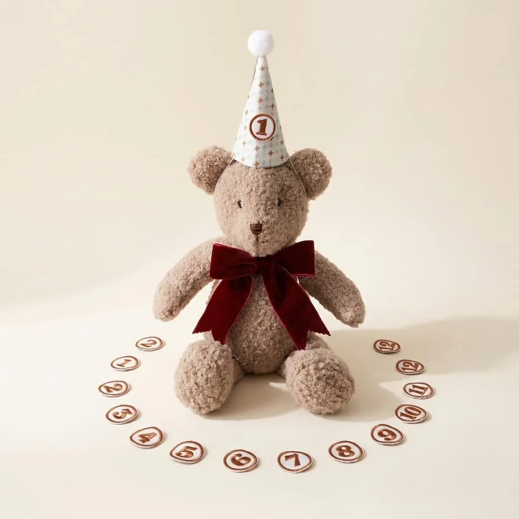 Osito de peluche con gorro y los 12 números intercambiables para las fotos mes a mes del bebé